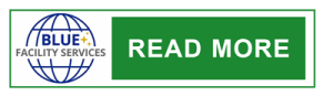read-more-button-green